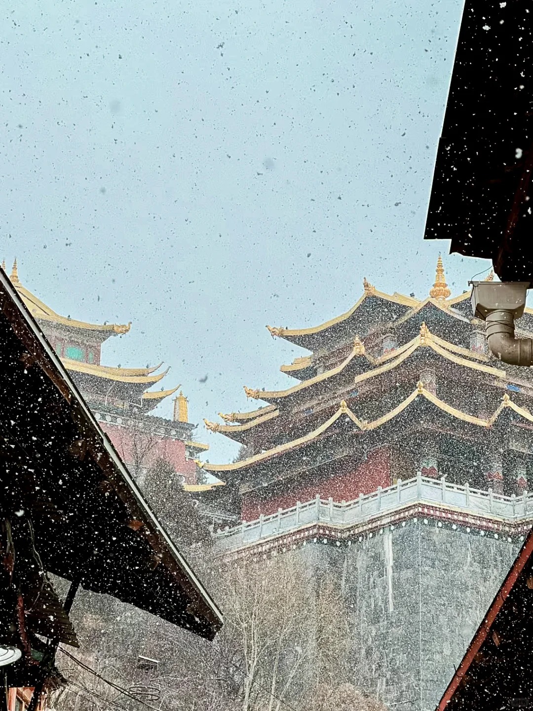 香格里拉11-12月天气及穿衣保姆级攻略_4_茸洽Glamping温泉帐篷酒店_云南-香格里拉-来自52tours 我爱旅游网